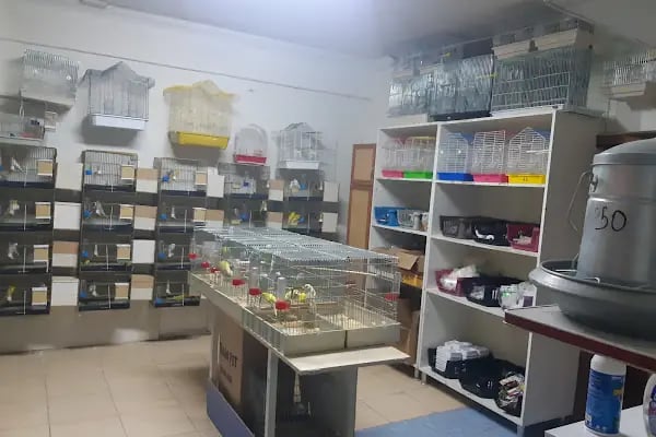 uğurlu pet shop - Resim 17