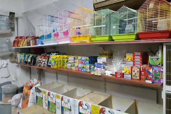uğurlu pet shop - Resim 8