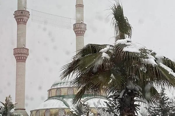 Merkez Fatih Cami - Resim 6
