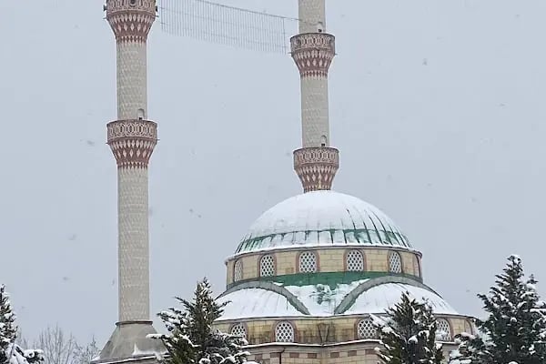 Merkez Fatih Cami - Resim 17