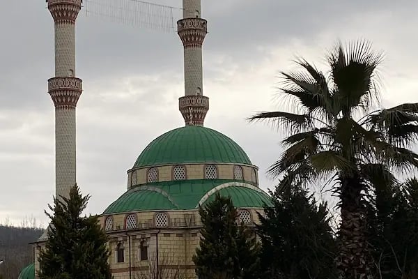Merkez Fatih Cami - Resim 18