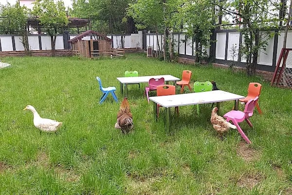 Palmiye akademi ingilizce eğitim veren kreş - Resim 7