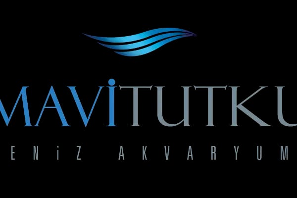 Mavi Tutku Deniz Akvaryum Sistemleri - Resim 13