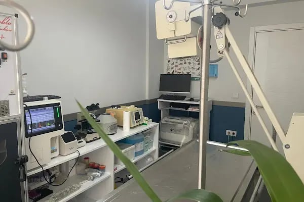 Linda Veteriner Kliniği - Resim 2