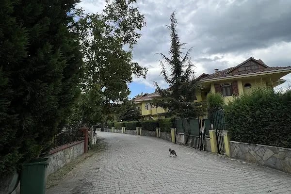 Egemen Butik Otel - Resim 3