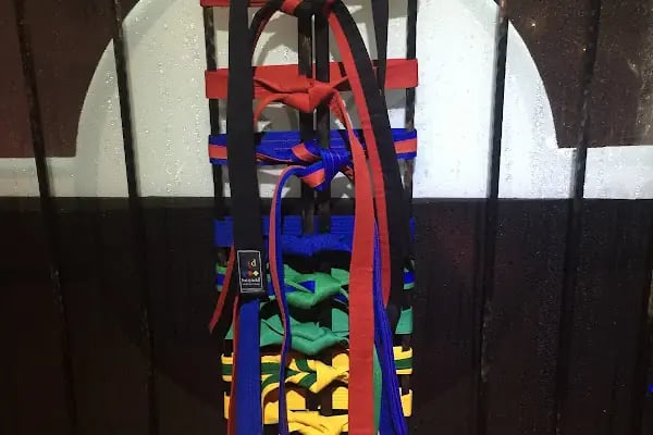 Şampiyon Leopar spor kulübü - Resim 8