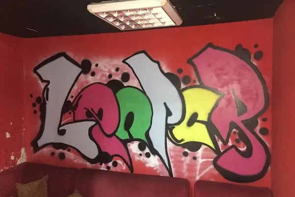 Şampiyon Leopar spor kulübü - Resim 19