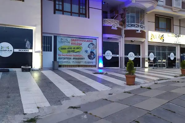 Şampiyon Leopar spor kulübü - Resim 7