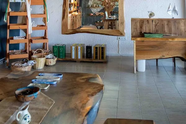 Goldenia Zeytinyağı Fabrika Satış Mağazası - Resim 18