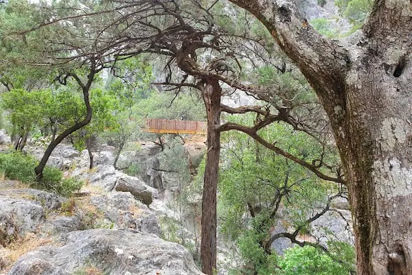 Yazılı Kanyon Tabiat Parkı - Resim 20