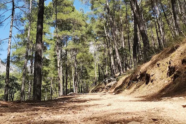 Yazılı Kanyon Tabiat Parkı - Resim 9