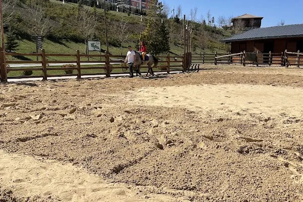 Altınköy Döngeller Konağı Binicilik Merkezi - Resim 13