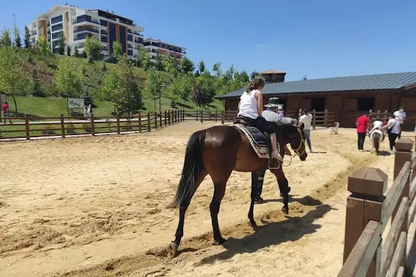 Altınköy Döngeller Konağı Binicilik Merkezi - Resim 4