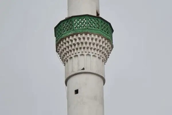 Metin Özmen Cami - Resim 12