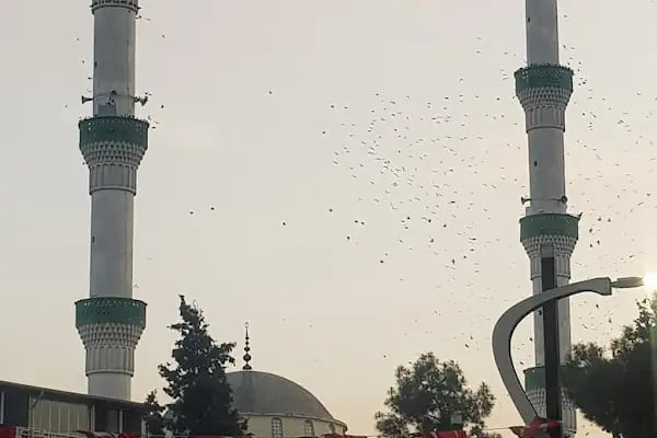 Metin Özmen Cami - Resim 10