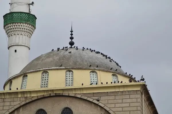 Metin Özmen Cami - Resim 15