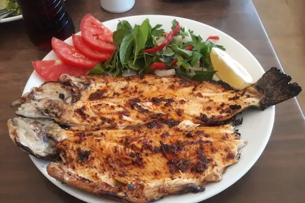 Birecik altın sofra - Resim 3