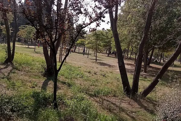 Florya Atatürk ormanı mazhar diker kapısı - Resim 6