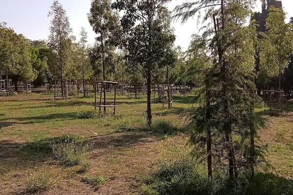 Florya Atatürk ormanı mazhar diker kapısı - Resim 19