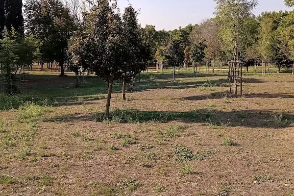 Florya Atatürk ormanı mazhar diker kapısı - Resim 2