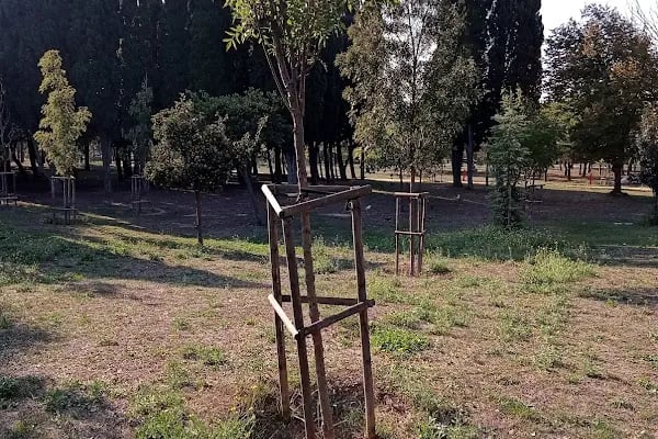 Florya Atatürk ormanı mazhar diker kapısı - Resim 16