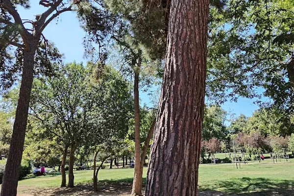 Florya Atatürk ormanı mazhar diker kapısı - Resim 11