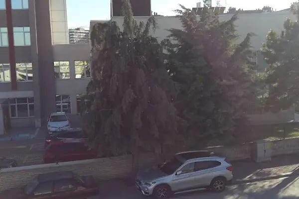 TARIM VE ORMAN BAKANLIĞI DOĞA KORUMA VE MİLLİ PARKLAR 8. BÖLGE MÜDÜRLÜĞÜ - Resim 4