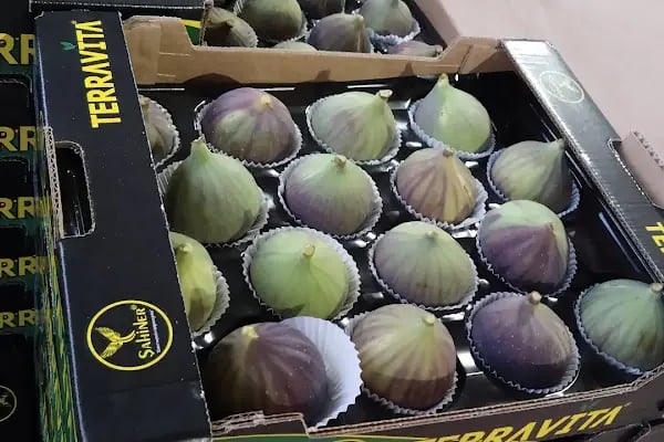 Şahiner Soğuk Hava Deposu - Resim 18