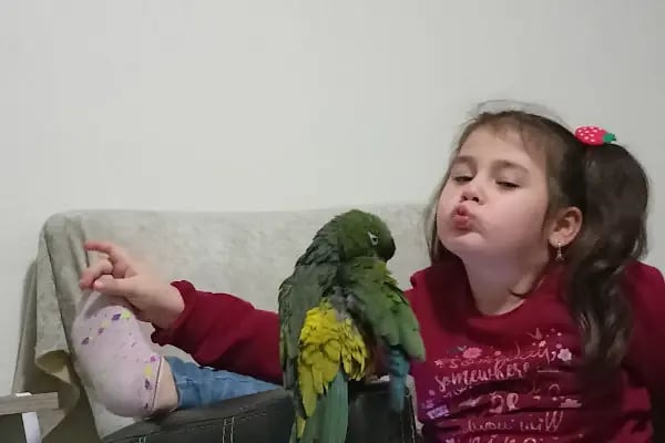 Ela Petshop - Resim 19
