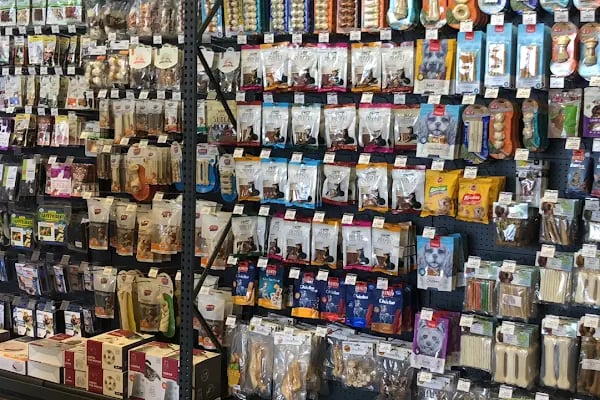 Club Safari İncek Pet Shop - Resim 8