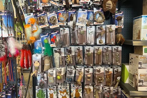 Club Safari İncek Pet Shop - Resim 20
