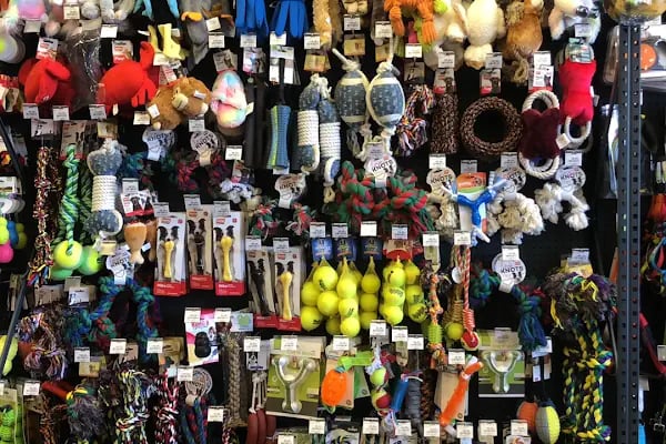 Club Safari İncek Pet Shop - Resim 2