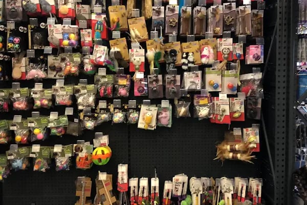 Club Safari İncek Pet Shop - Resim 5