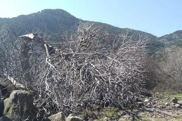 İkiz Göl - Resim 10