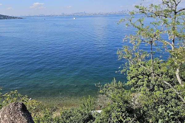 O'Wellness Dragos - Resim 16