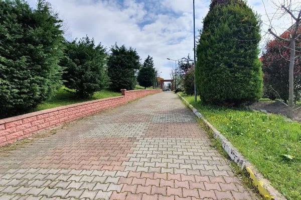 Afet ve Acil Durum Toplanma Bölgesi - 2 Temmuz Parkı - Resim 18