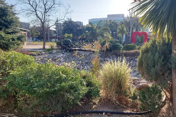 Bahçelievler Belediyesi Şehir Korusu - Resim 5