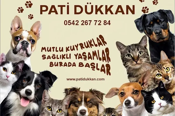 Pati Dükkan - Resim 5