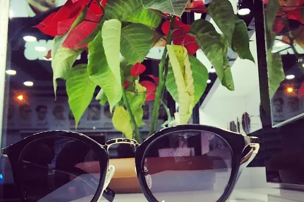 Gazikent Optik - Resim 3