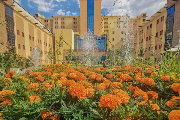 Diyarbakır Gazi Yaşargil Eğitim Ve Araştırma Hastanesi Girişimsel radyoloji/Dr. Ayhan ŞENOL - Resim 15