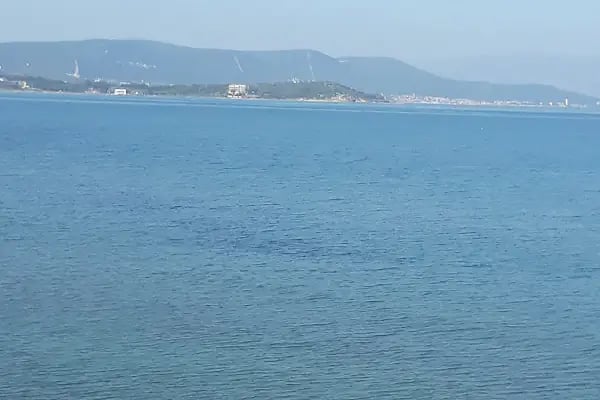 Yeni Liman - Resim 17