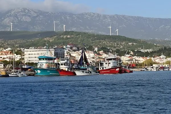 Yeni Liman - Resim 5