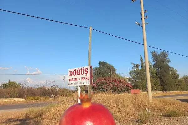 DÖĞÜŞ TARIM SOĞUK HAVA DEPOSU - Resim 3