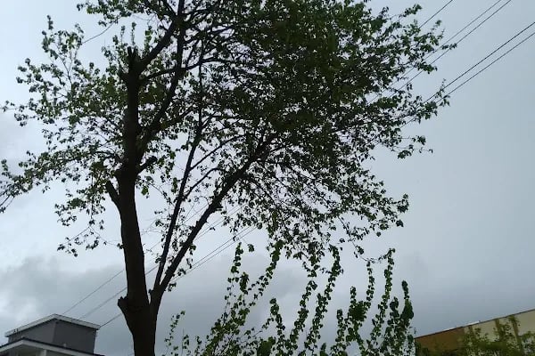 AKDENİZ ELEKTRİK DAĞITIM DÖŞEMEALTI - Resim 1
