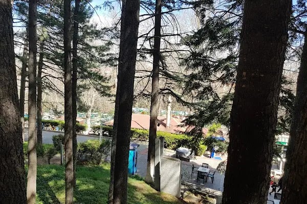 Akşehir Hıdırlık - Resim 3