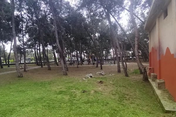 Başpehlivan Cengiz Elbeye Çocuk Parkı - Resim 7