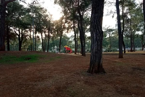 Başpehlivan Cengiz Elbeye Çocuk Parkı - Resim 15