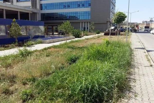 Bismil Devlet Hastanesi(Yeni) - Resim 4