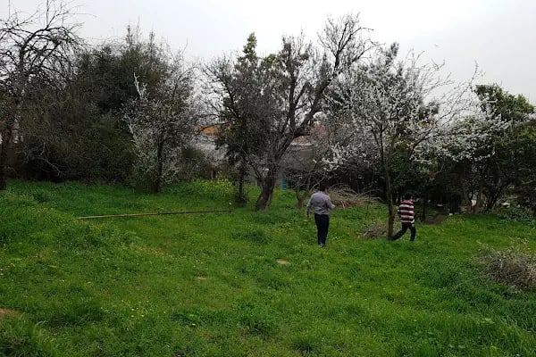Ikigai Hotel Villa Rıfat Büyükada - Resim 16