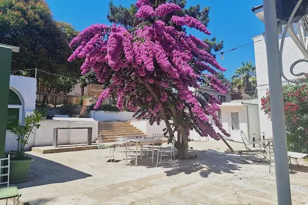 Ikigai Hotel Villa Rıfat Büyükada - Resim 18